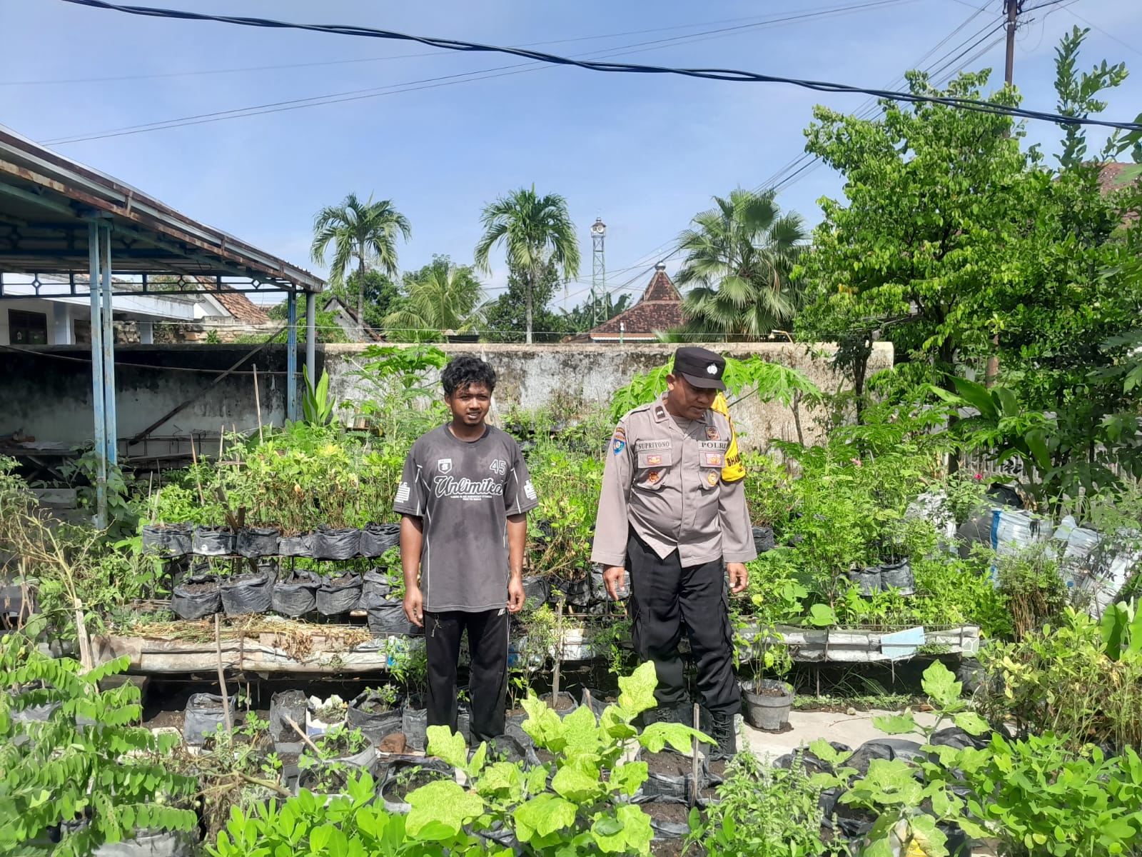 Bhabinkamtibmas Desa Klitik Dampingi Warga Manfaatkan Pekarangan untuk Tanaman Pangan Bergizi