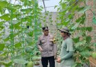 Melon Siap Panen Jadi Kebanggaan Warga, Bhabinkamtibmas Desa Tawangrejo Beri Apresiasi