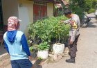 Pendampingan Bhabinkamtibmas Perkuat Budaya Menanam di Lingkungan Warga