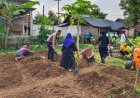 Gotong Royong Wujudkan Pekarangan Pangan Bergizi, Bhabinkamtibmas Desa Nampu Dampingi Warga Tanam Bibit Produktif