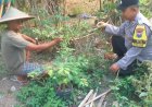 Bhabinkamtibmas Polsek Mejayan Motivasi Warga Manfaatkan Pekarangan Pangan Bergizi untuk Wujudkan Ketahanan Pangan Nasional