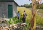 Bhabinkamtibmas Polsek Balerejo Sambangi Lahan Pertanian Warga untuk Perkuat Ketahanan Pangan Nasional