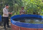 Budidaya Lele Sistem Kolam Terpal Kian Berkembang, Bhabinkamtibmas Desa Gemarang Dukung Ketahanan Pangan Warga