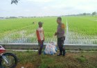 Aipda Efin Berikan Penyuluhan kepada Petani Desa Banjarsari