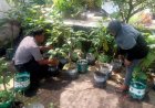 Bhabinkamtibmas Desa Sidomulyo Dorong Warga Manfaatkan Pekarangan Pangan Bergizi untuk Ketahanan Pangan