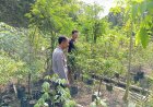 Bhabinkamtibmas Hadir Bangun Semangat Warga Kelola Lahan Produktif
