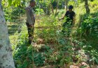 Kebun Sayur Pekarangan Terus Berkembang, Bhabinkamtibmas Desa Durenan Berikan Semangat kepada Warga
