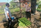 Bhabinkamtibmas Polsek Mejayan Dorong Warga Manfaatkan Pekarangan untuk Dukung Ketahanan Pangan Nasional