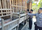 Dukung Ketahanan Pangan, Bhabinkamtibmas Polsek Balerejo Tinjau Peternakan Warga di Desa Sumberbening