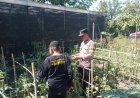 Dukung Ketahanan Pangan, Bhabinkamtibmas Balerejo Ajak Warga Sulap Pekarangan Jadi Lahan Produktif bernilai Ekonomis