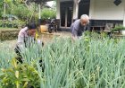 Bhabinkamtibmas Desa Kare Dorong Pemanfaatan Lahan Pekarangan untuk Dukung Ketahanan Pangan Nasional