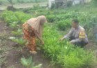 Dukung Ketahanan Pangan, Bhabinkamtibmas Pilangrejo Sambangi Warga Manfaatkan Pekarangan Rumah