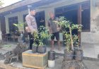 Ciptakan Pekarangan Produktif, Pak Bhabin Ajak Warga Sukseskan Program Ketahanan Pangan
