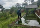 Bhabinkamtibmas Desa Tileng Sambangi Peternak Ikan Gurame, Dukung Ketahanan Pangan