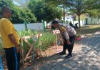 Dukung Ketahanan Pangan Nasional, Bhabinkamtibmas Kelurahan Munggut Sambangi Pekarangan Warga