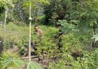 Dampingi Warga Berkebun, Bhabinkamtibmas Perkuat Ketahanan Pangan Lokal