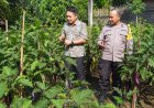 Terong Ungu Bergelantungan, Pekarangan Warga Durenan Tunjukkan Hasil Perawatan yang Tak Sia-Sia