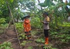 Bhabinkamtibmas Desa Mojopurno Dorong Warga Manfaatkan Pekarangan untuk Mendukung Ketahanan Pangan