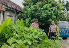 Bhabinkamtibmas Desa Plumpungrejo Ajak Warga Optimalkan Pekarangan untuk Ketahanan Pangan