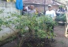 Demi Terwujudnya Ketahanan Pangan, Aipda Ribut Wraga Yang Manfaatkan Perkarangan Rumah