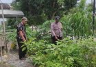 Bhabinkamtibmas Desa Dawuhan Dorong Warga Manfaatkan Pekarangan untuk Mendukung Ketahanan Pangan
