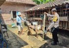 Bhabinkamtibmas Desa Nglanduk Dorong Warga Manfaatkan Pekarangan untuk Mendukung Ketahanan Pangan Bidang Peternakan