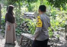 Pekarangan Asri Jadi Sumber Pangan Keluarga, Bhabinkamtibmas Desa Sebayi Apresiasi Kepedulian Warga