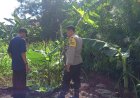 Pekarangan Sederhana Jadi Harapan Keluarga, Bhabinkamtibmas Desa Sebayi Dukung Warga Kembangkan Pangan Mandiri