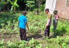 Bhabinkamtibmas Polsek Saradan Pantau Petani Kacang Hijau Dan Berikan Apresiasi