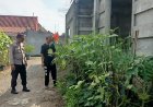 Wujudkan Swasembada Pangan, Bhabinkamtibmas Kunjungi Dan Berikan Edukasi Kepada Warga Yang Manfaatkan Perkarangan