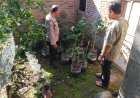 Galon Bekas Air Mineral Disulap Jadi Kebun Produktif, Bhabinkamtibmas Desa Durenan Apresiasi Kreativitas Warga