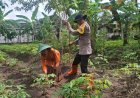 Bhabinkamtibmas Desa Mojopurno Ajak Warga Optimalkan Pekarangan untuk Dukung Ketahanan Pangan