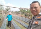 Bhabinkamtibmas Desa Warurejo Sambangi Warga, Dukung Pemanfaatan Kebun Cipir untuk Ketahanan Pangan