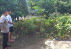 Pekarangan Rumah di Desa Sebayi Disulap Jadi Kebun Sayur, Bhabinkamtibmas Beri Apresiasi