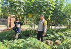 Bhabinkamtibmas Desa Gemarang Ajak Warga Optimalkan Lahan Produktif