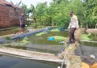 Aiptu Agus Beri Motivasi Peternak Ikan Gurame di Desa Mruwak