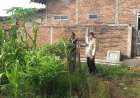 Pekarangan Hijau Jadi Sumber Pangan, Bhabinkamtibmas Desa Sebayi Ajak Warga Maksimalkan Lahan Rumah