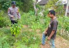 Bhabinkamtibmas Desa Segulung Dorong Pemanfaatan Pekarangan untuk Mendukung Ketahanan Pangan