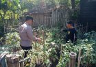 Bhbainkamtibmas Desa Balerejo Dorong Pemanfaatan Pekarangan Pangan Bergizi untuk Mendukung Ketahanan Pangan