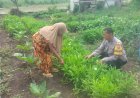 Bhabinkamtibmas Desa Pilangrejo Dorong Pemanfaatan Pekarangan untuk Mendukung Program Ketahanan Pangan