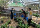 Green House Sayuran Jadi Inspirasi Ketahanan Pangan, Bhabinkamtibmas Desa Winong Dampingi Warga Rawat Tanaman