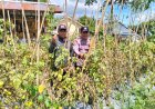 Bhabinkamtibmas Polres Madiun Dorong Ketahanan Pangan Melalui Sambang Lahan Pertanian Warga di Desa Kaibon