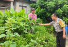 Bhabinkamtibmas Desa Plumpungrejo Sosialisasikan Pemanfaatan Lahan Kosong untuk Dukung Ketahanan Pangan