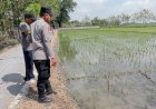 Perkuat Kamtibmas dan Ketahanan Pangan, Bhabinkamtibmas Babadan Lor Sambangi Warga