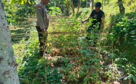 Monitoring Tanaman Hortikultura, Bhabinkamtibmas Desa Durenan Dukung Keberhasilan Pekarangan Pangan Bergizi