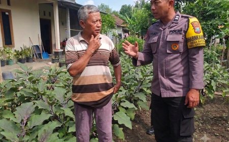 Monitoring Tanaman Terong, Bhabinkamtibmas Desa Batok Ajak Warga Tingkatkan Ketahanan Pangan Melalui Pekarangan Bergizi
