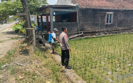 Dukung Ketahanan Pangan Nasional, Bhabinkamtibmas Desa Pacinan Ajak Warga Manfaatkan Lahan Pekarangan