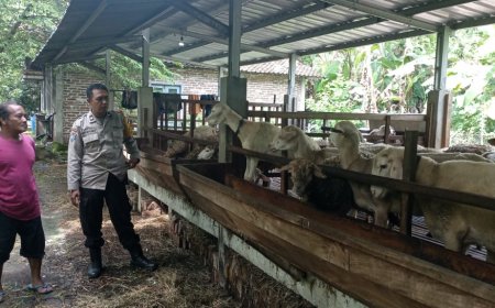 Melihat Pak Bhabin Sambangi Peternak Kambing Desa Padas