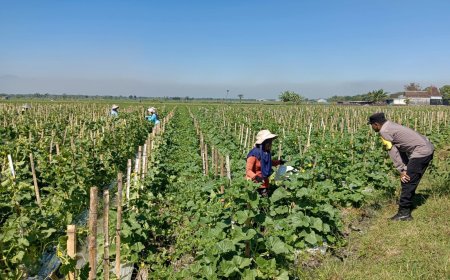 Bhabinkamtibmas Desa Tapelan Ajak Warga Optimalkan Pekarangan untuk Mendukung Ketahanan Pangan Bergizi