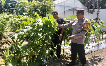 Bhabinkamtibmas Desa Sidorejo Ajak warga Manfaatkan Pekarangan untuk Dukung Ketahanan Pangan